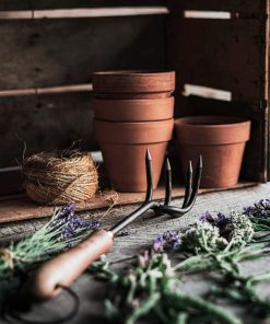 Backyard Gardener Set