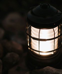 Forest Lantern