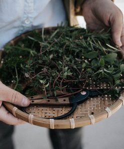 Garden Scissors