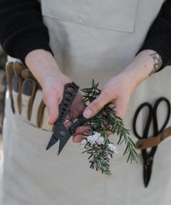 Herb Harvest and Strip Tool