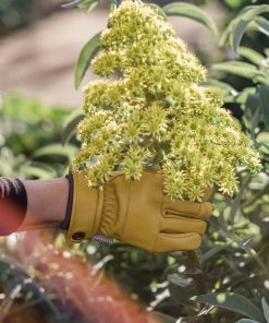 Kunar Utility Glove