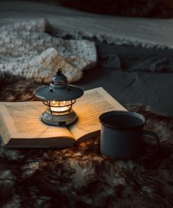 Edison Mini Lantern