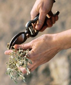 Pruner