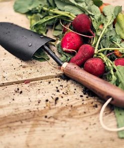 Spade Hand Trowel